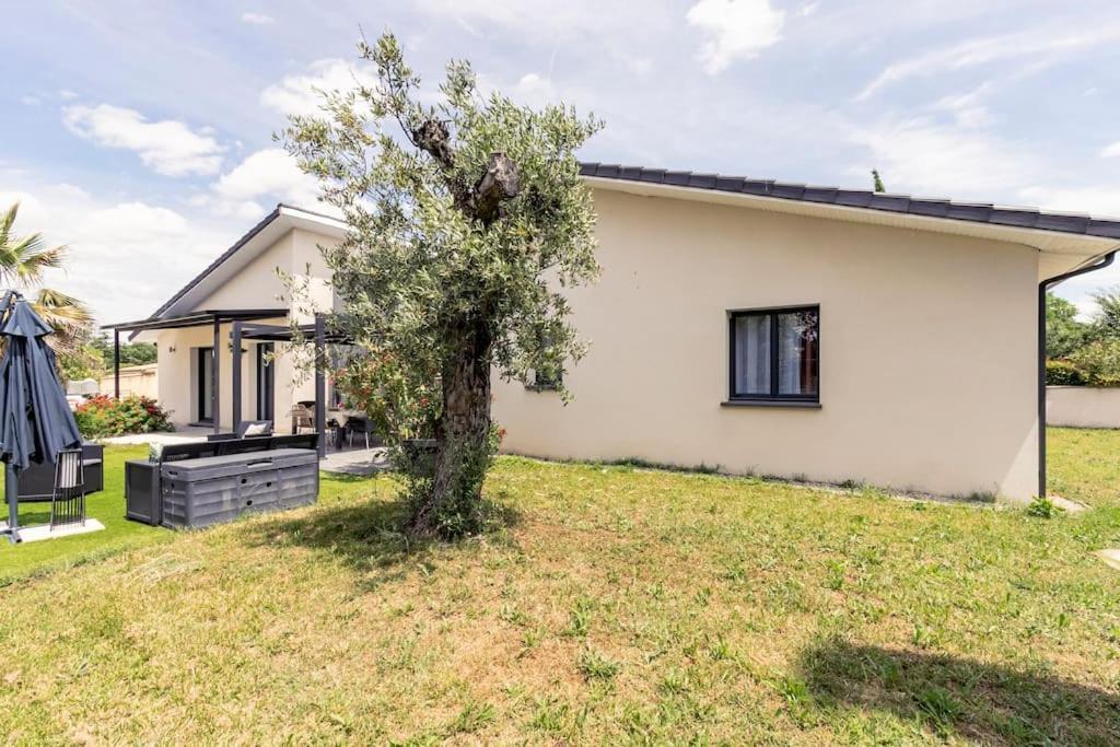 Villa Des Rives Du Tarn Avec Jacuzzi Montans Exteriér fotografie